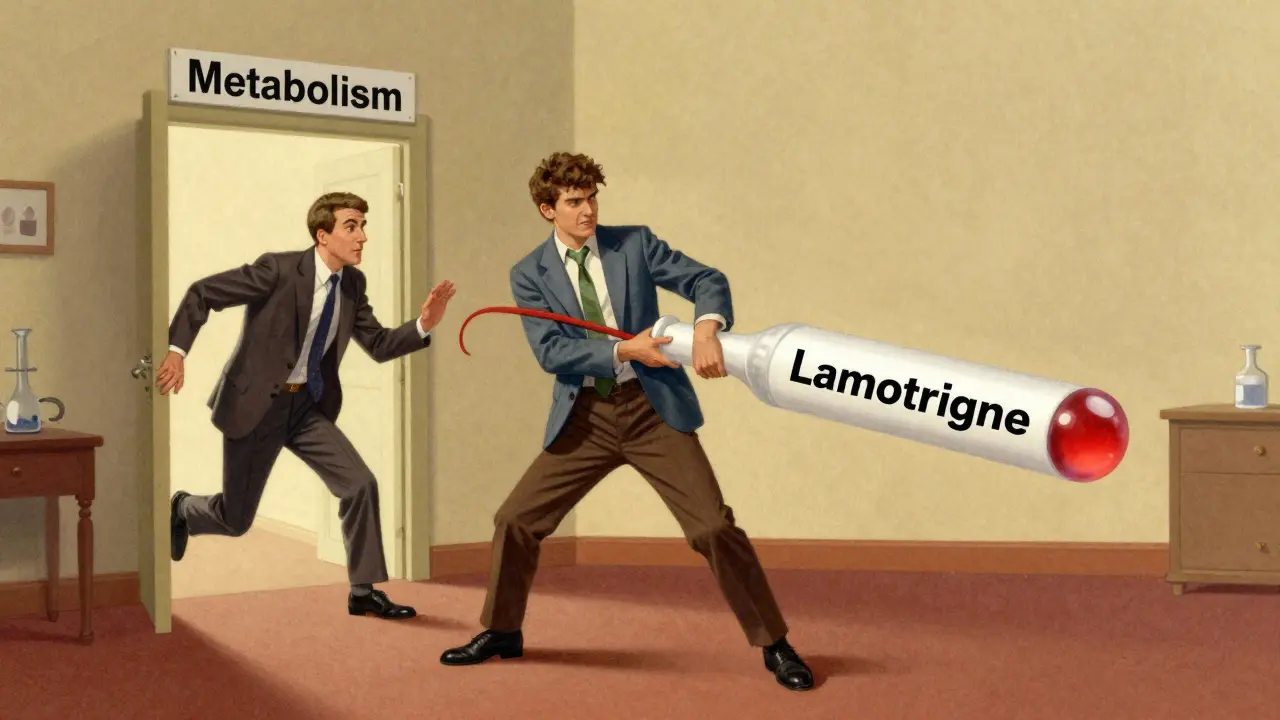 Valproato e Lamotrigina: Gestione del Rischio Rash e Dosaggi